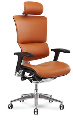 2-X-Chair-X4-Leather-Executive-Chair