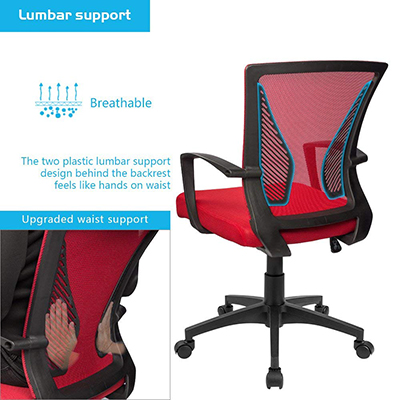 Furmax-Office-Chair-lumbar-support