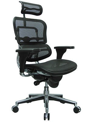 7-Ergohuman-High-Back-Swivel-Chair-with-Headrest