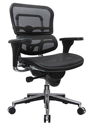 7-Eurotech-Seating-Ergohuman-ME8ERGLO(N)-Mid-Back-Mesh-Swivel-Chair