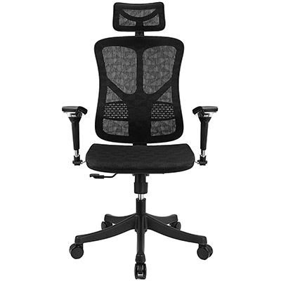 7-Argomax-Ergonomic-Mesh-Office-Chair