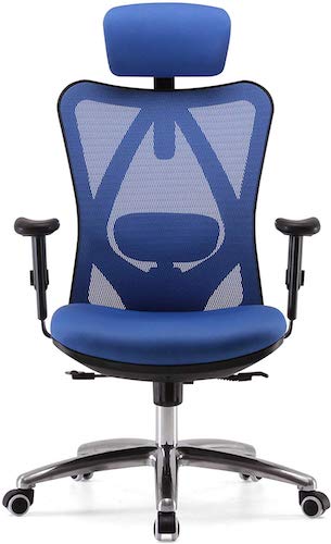 8-Sihoo Ergonomic Office Chair