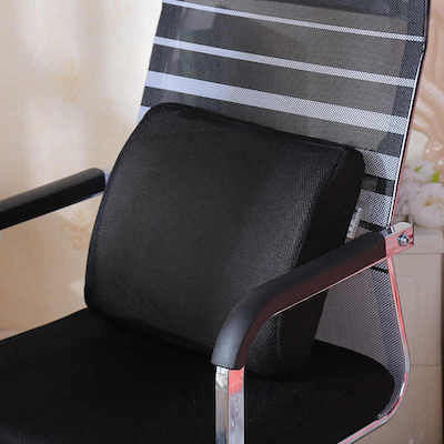 office chair Back Support