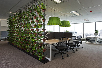 partition ideas for office Using Plants