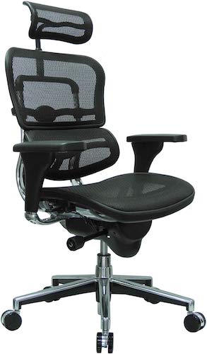 6-Ergohuman High Back Swivel Chair with Headrest